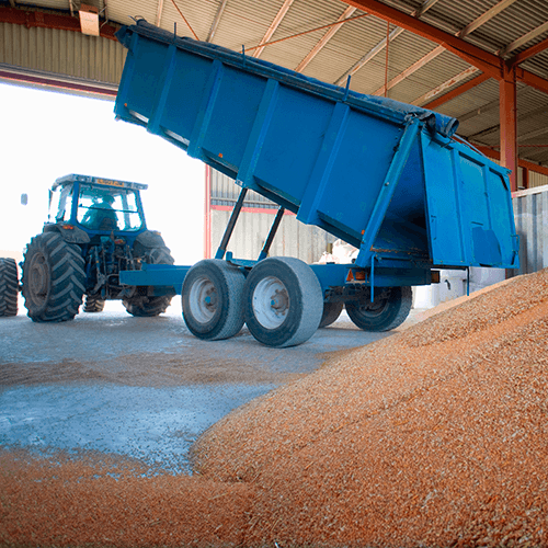 Agriculture