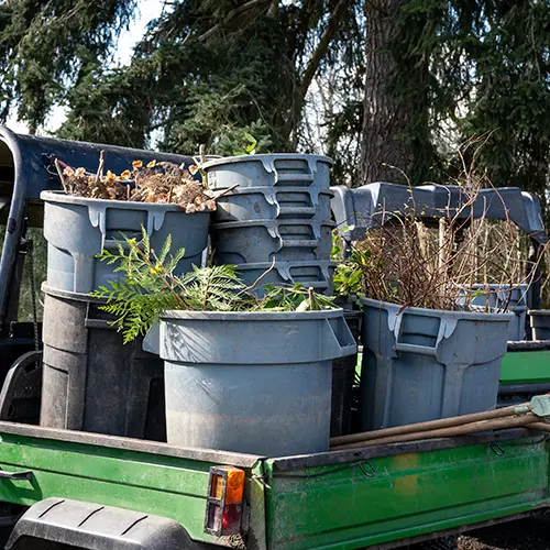 Yard Waste Removal